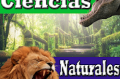 Curso de ciencias naturales